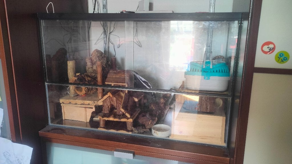Terrarium dwerghamster, Dieren en Toebehoren, Knaagdieren en Konijnen | Hokken en Kooien, Kooi, Gebruikt, Hamster, 75 tot 110 cm
