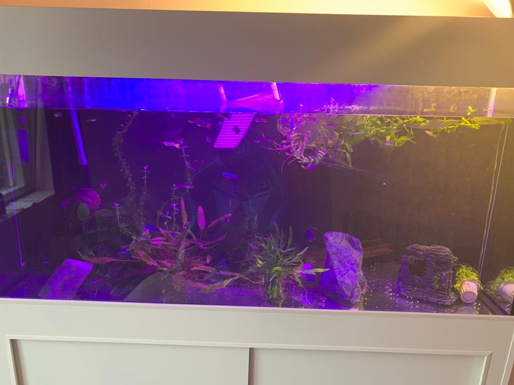 Aquarium met goeie eheim pomp te koop, Ophalen, Zo goed als nieuw, Leeg aquarium