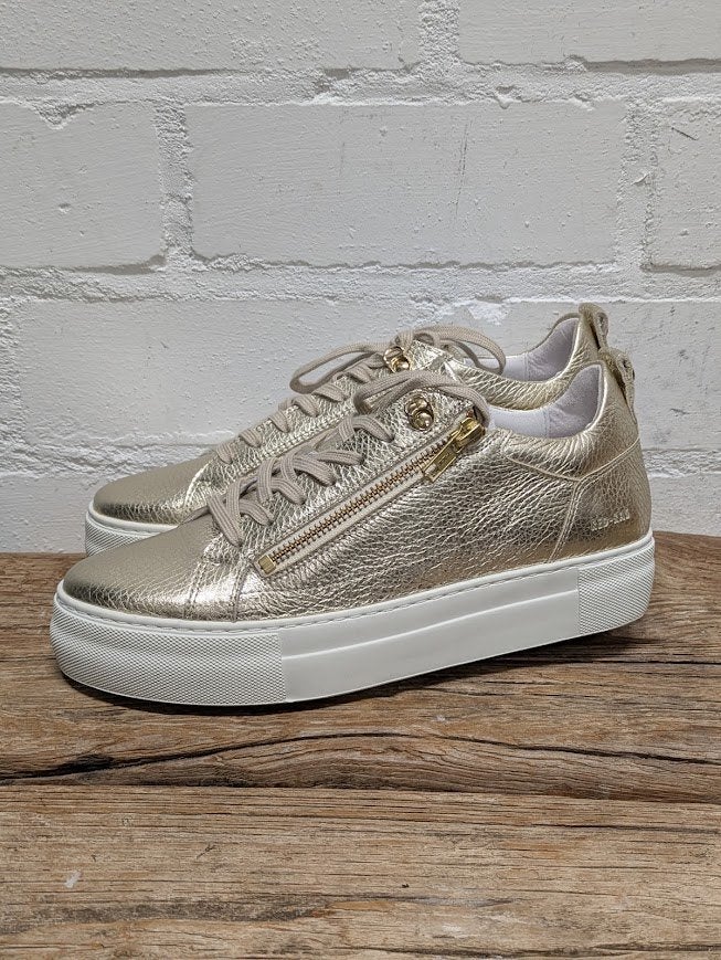Red Rag - Goud leren sneakers maat 37 - RedRag - Nieuw €169, Overige kleuren, Nieuw, Ophalen of Verzenden, Sneakers of Gympen