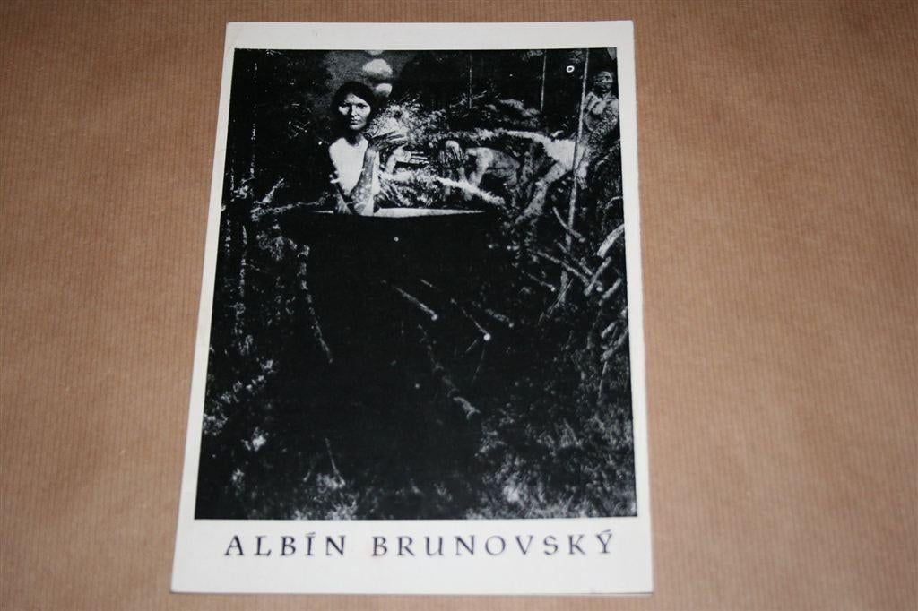 Albin Brunovsky — Grafica — 1983, Ophalen of Verzenden, Gelezen
