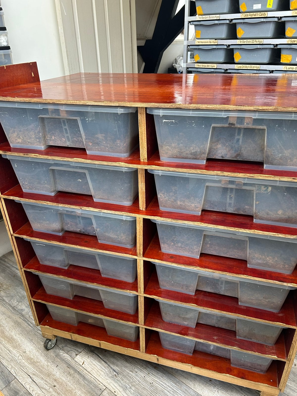 Te koop zeer goed degelijk slangen rack, Ophalen, Gebruikt, Terrarium of Paludarium