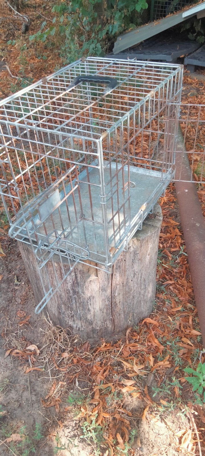 Opvouwbare bench, Ophalen of Verzenden, Minder dan 75 cm, Minder dan 65 cm