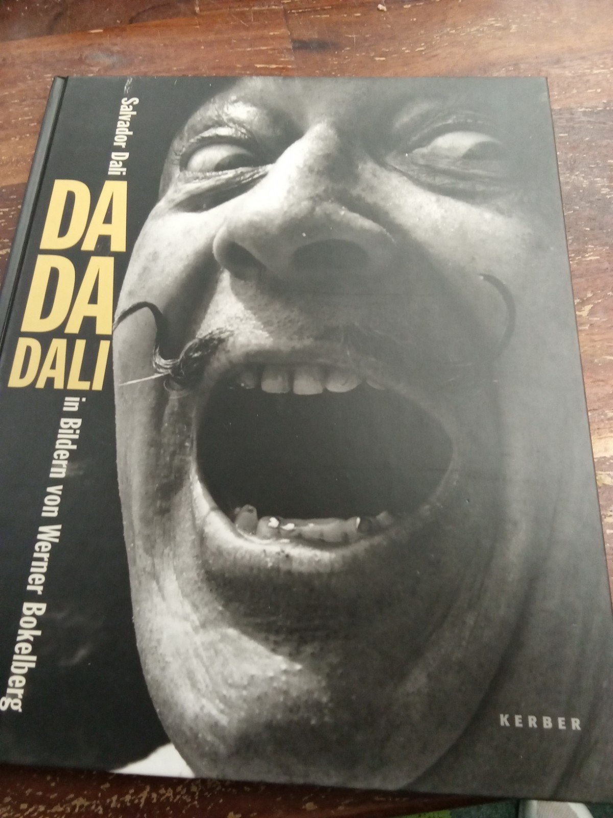 DA DA DALI - In Bildern von Werner Bokelberg, Ophalen of Verzenden, Zo goed als nieuw, Fotografie algemeen, Werner Bokelberg