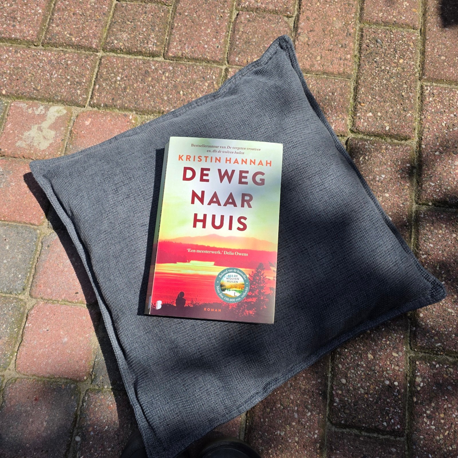Kristin Hannah - De weg naar huis, Ophalen of Verzenden, Zo goed als nieuw, Kristin Hannah