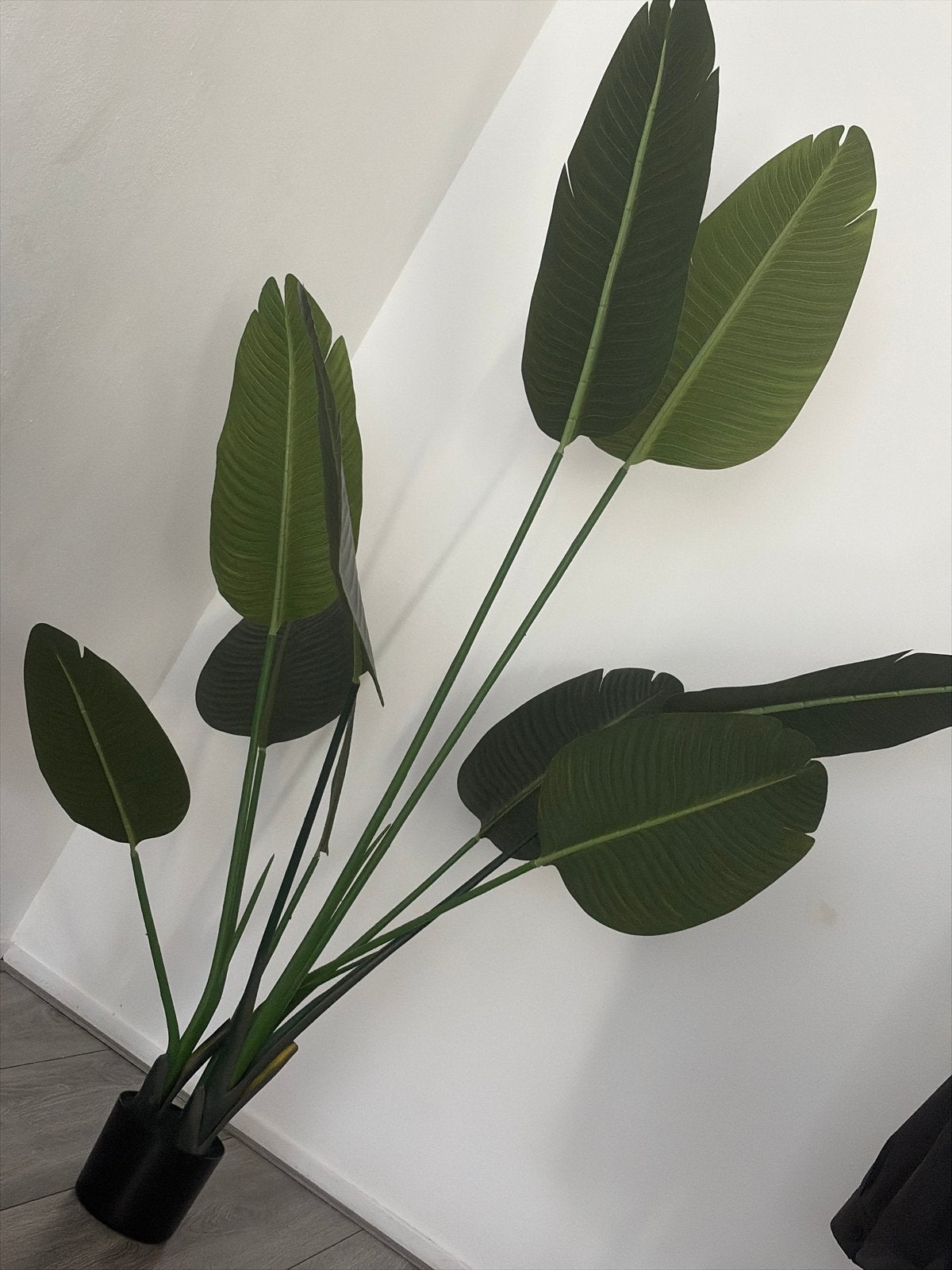 Grote Kunstplant - 165cm hoog, Binnen, Groen, Kunstplant, Ophalen of Verzenden