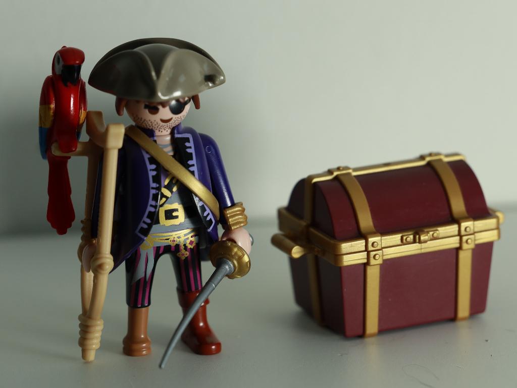 Playmobil 6684 Piratenkapitein met papagaai en schatkist, Ophalen of Verzenden
