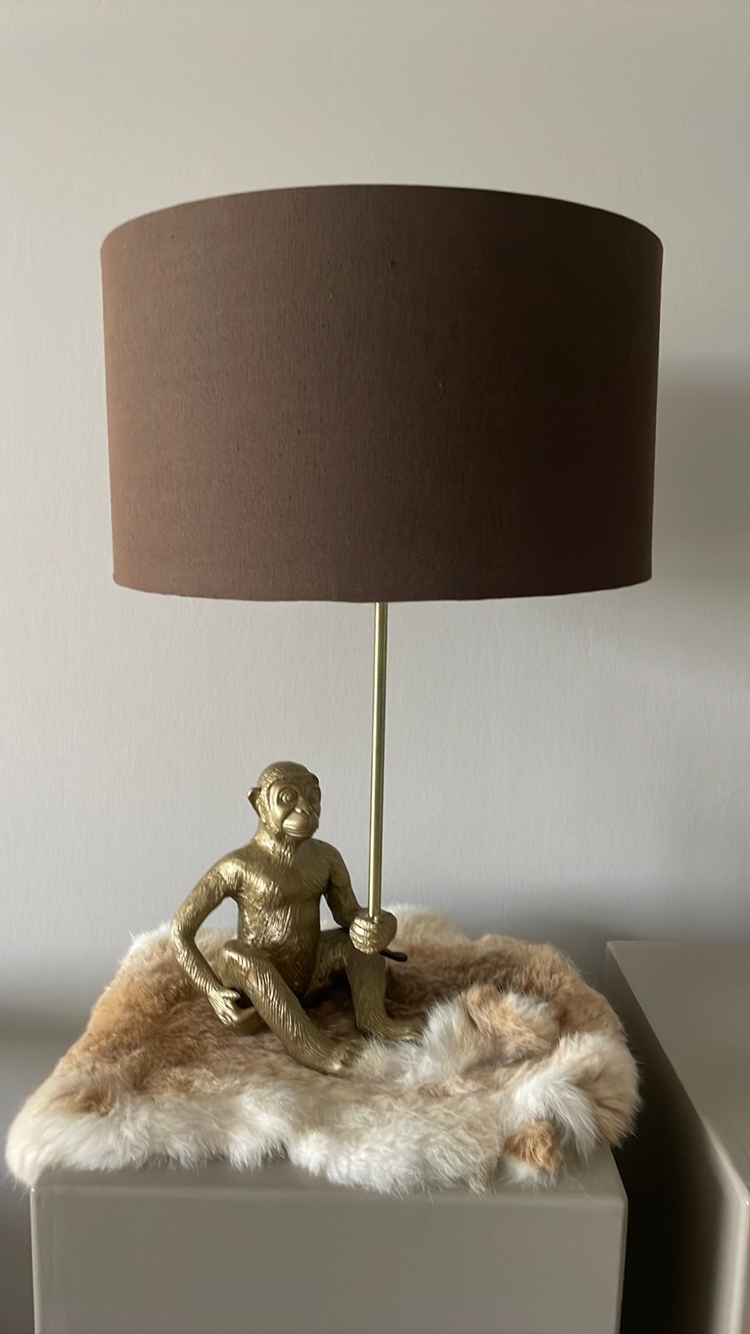 Leuke lamp met aap inclusief lampenkap, Ophalen, Zo goed als nieuw