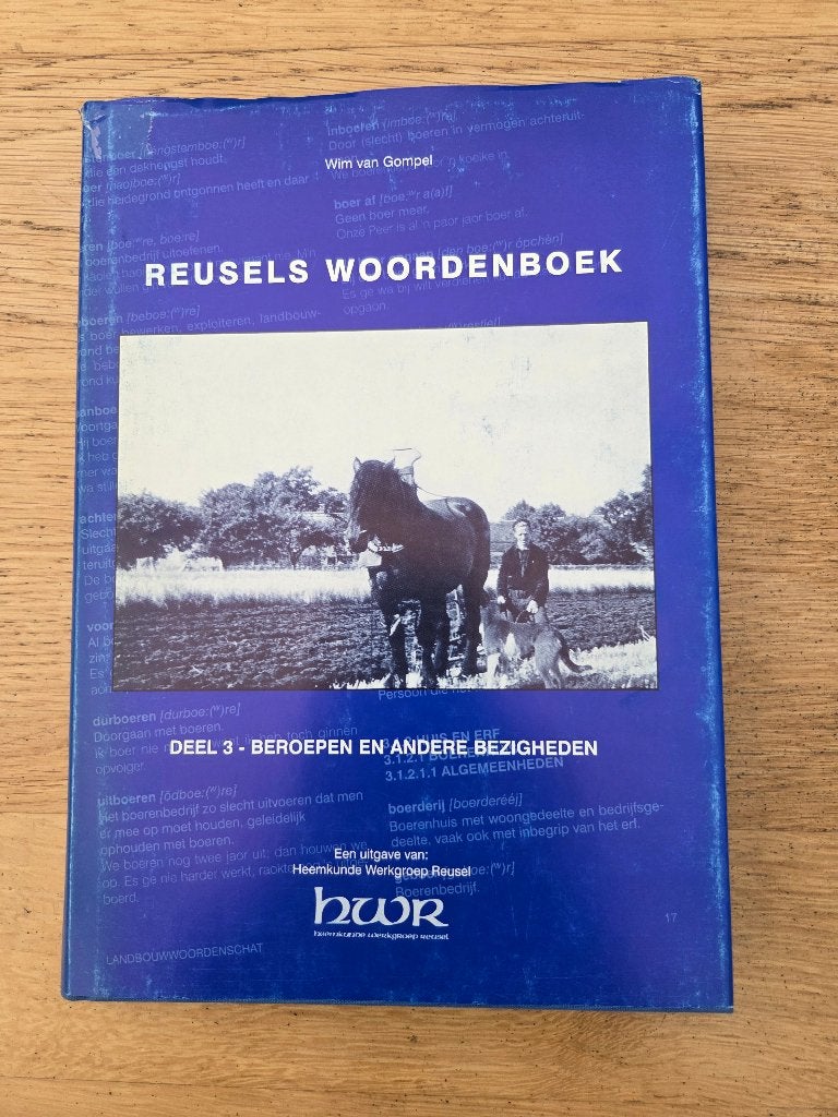 Reusels Woordenboek Deel 3 - Beroepen en Andere Bezigheden, Ophalen of Verzenden, Zo goed als nieuw, Wim van Gompel
