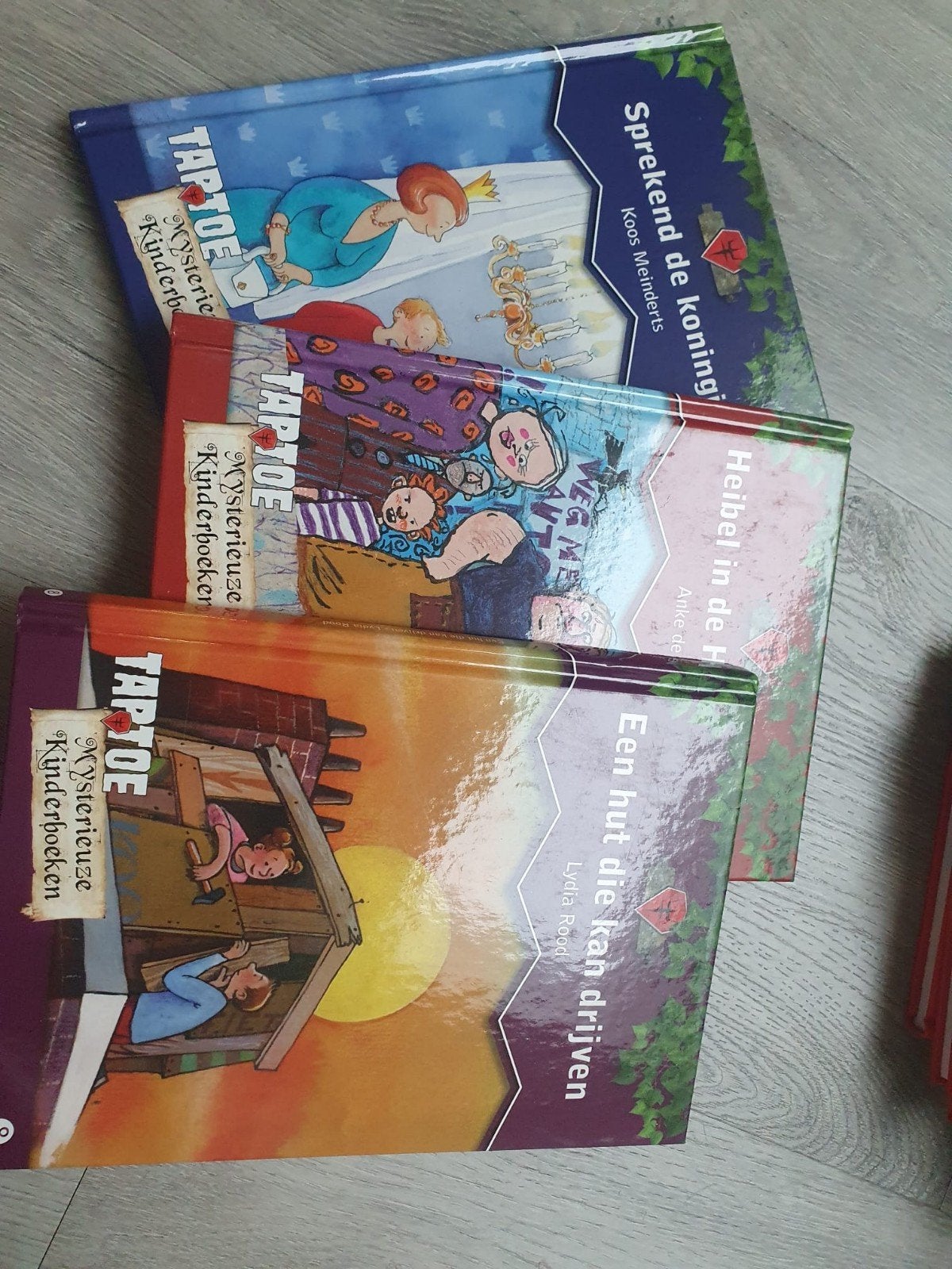 Taptoe mysterieuze kinderboeken, Boeken, Ophalen of Verzenden, Fictie algemeen