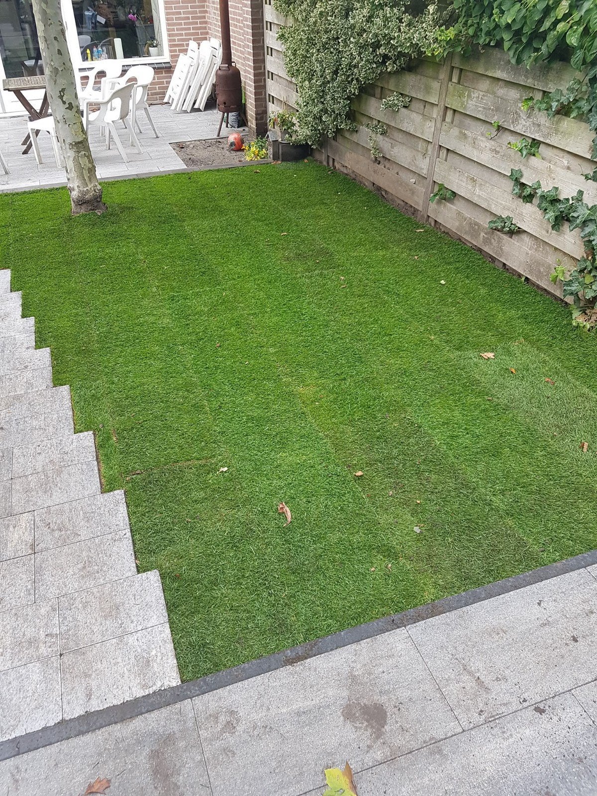 Graszoden aanleggen, Gazon aanleg, Gras service, Ophalen of Verzenden, Nieuw, 20 m² of meer