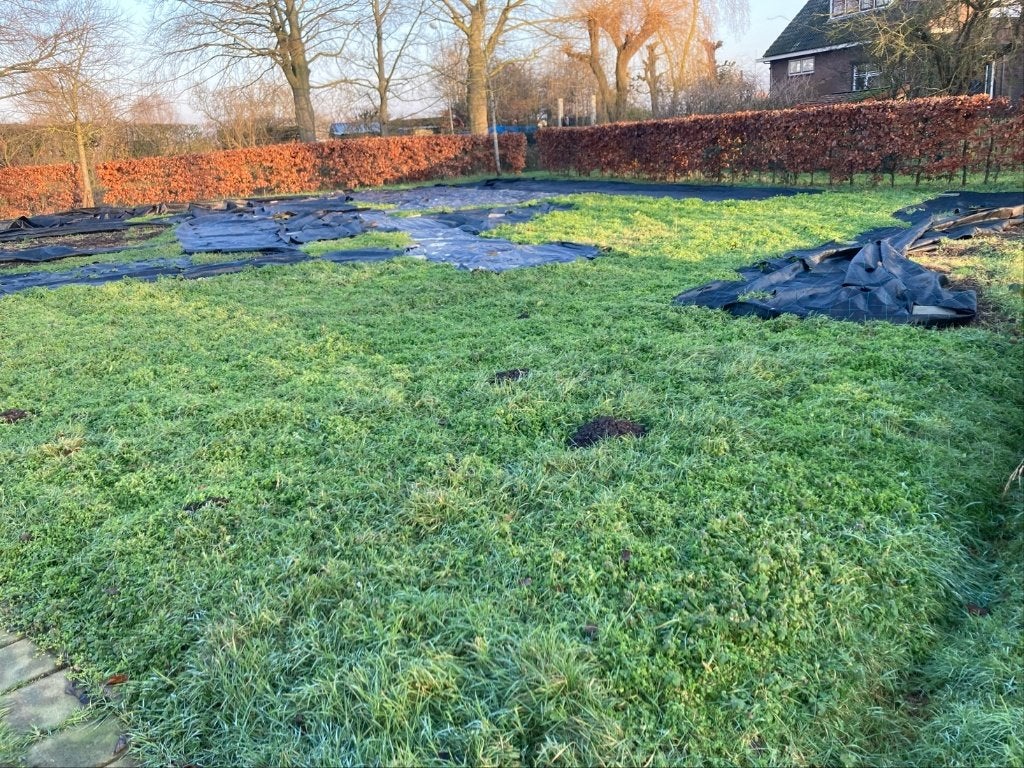 Beschikbare volkstuin in Muiden, Ophalen, Gebruikt