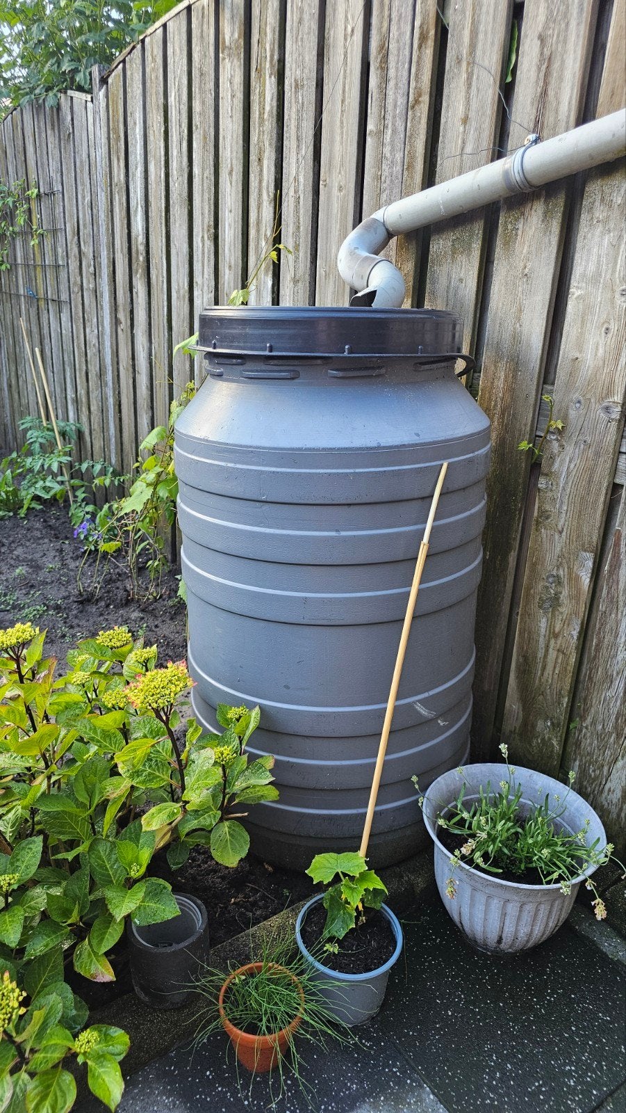 Regenton, Tuin en Terras, Regentonnen, 150 liter of meer, Ophalen of Verzenden