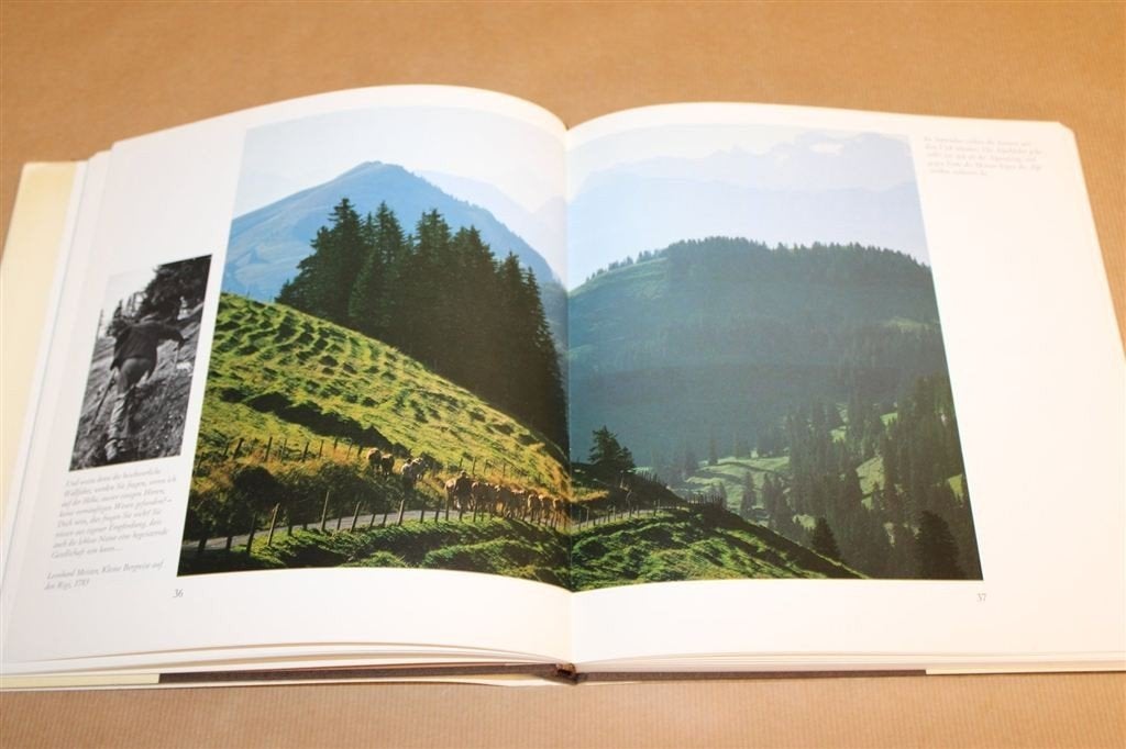 Rigi Zwitserland — Berg met Vele Gezichten [DE], Ophalen of Verzenden, Gelezen, Vogels