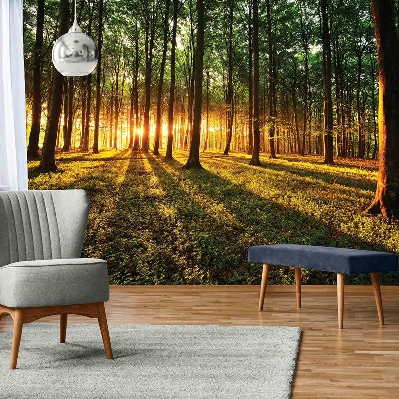 Fotobehang / Behang - Natuur - Zonsondergang - Bos Zonlicht, Overige patronen, Natuurlijk, Info@fotobehangkoning.nl, Fotobehang