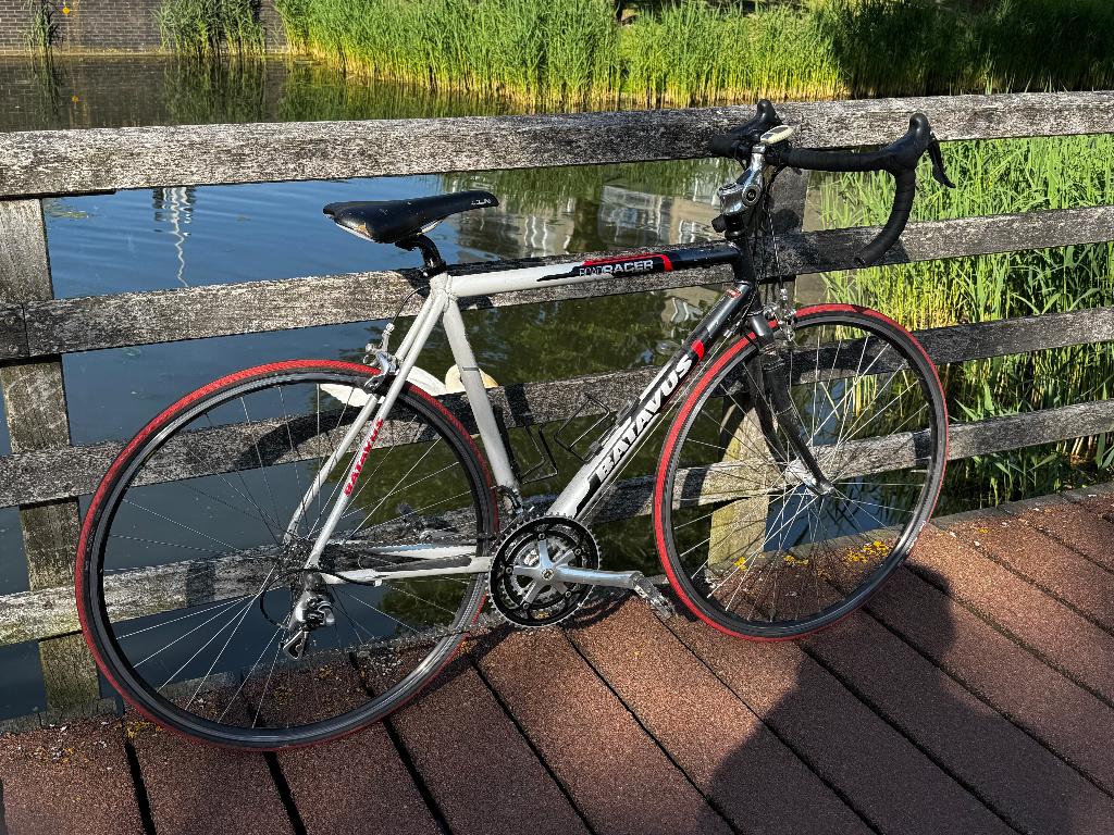 Batavus  roadracer elite racefiets, Ophalen, Gebruikt, Heren, Batavus