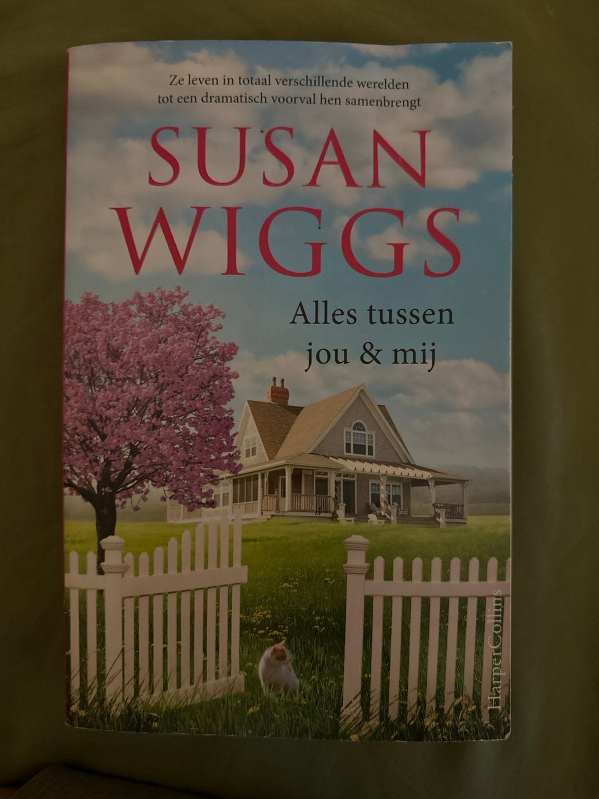 Boek Alles tussen jou & mij - Susan Wiggs (roman), Boeken, Ophalen of Verzenden, Gelezen, Nederland