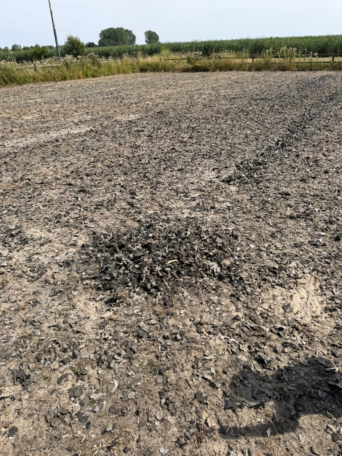 Tapijtsnippers uit paardenbak, Toebehoren