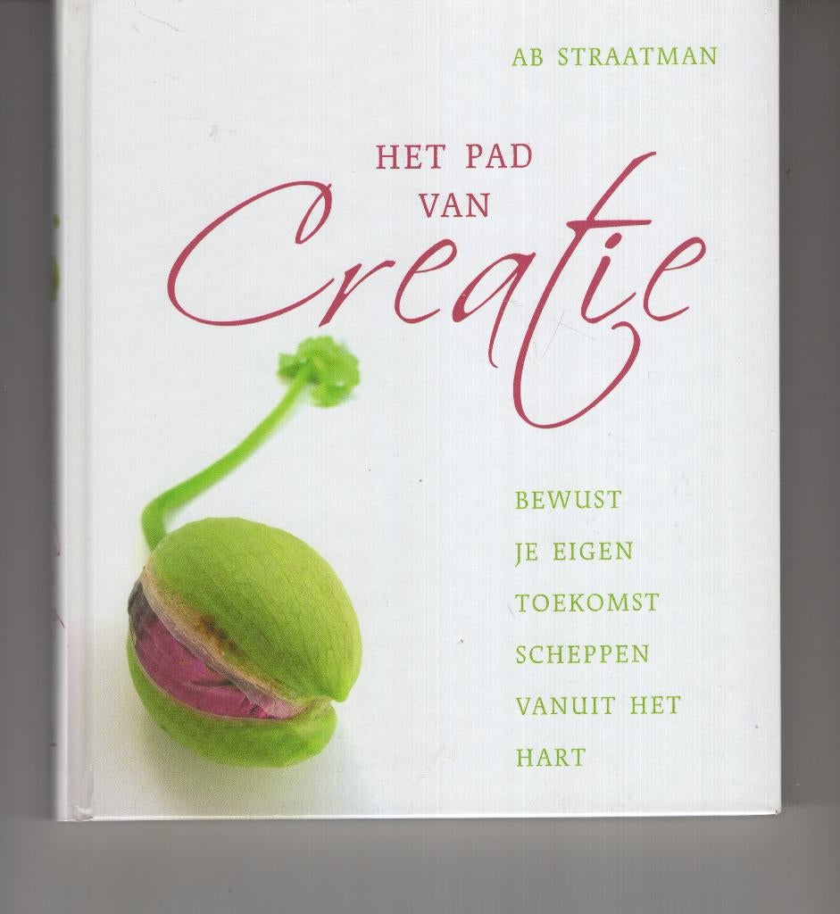 Het pad van creatie Ab Straatman, Ophalen of Verzenden, Zo goed als nieuw, Spiritualiteit algemeen, Overige typen