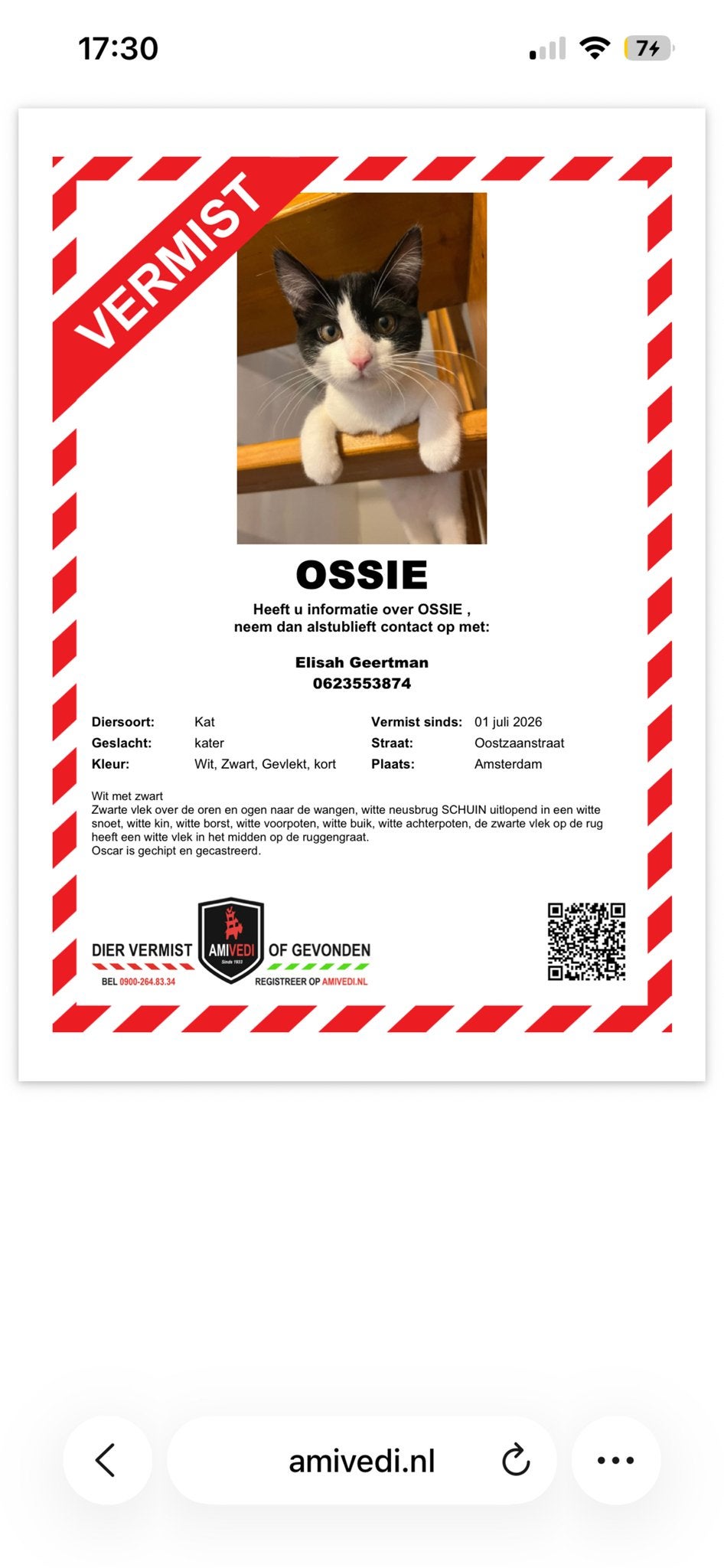 Zwart witte kat VERMIST, Kater