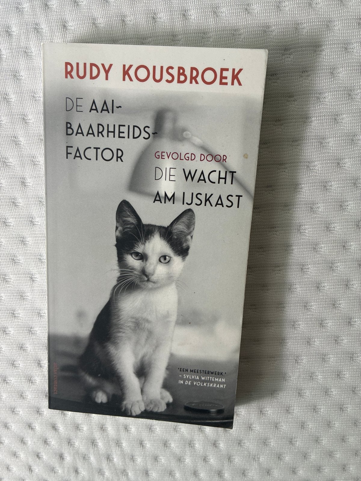 Rudy Kousbroek - De Aaibaarheidsfactor & Die Wacht am IJskas, Boeken, Ophalen of Verzenden, Gelezen, Nederland