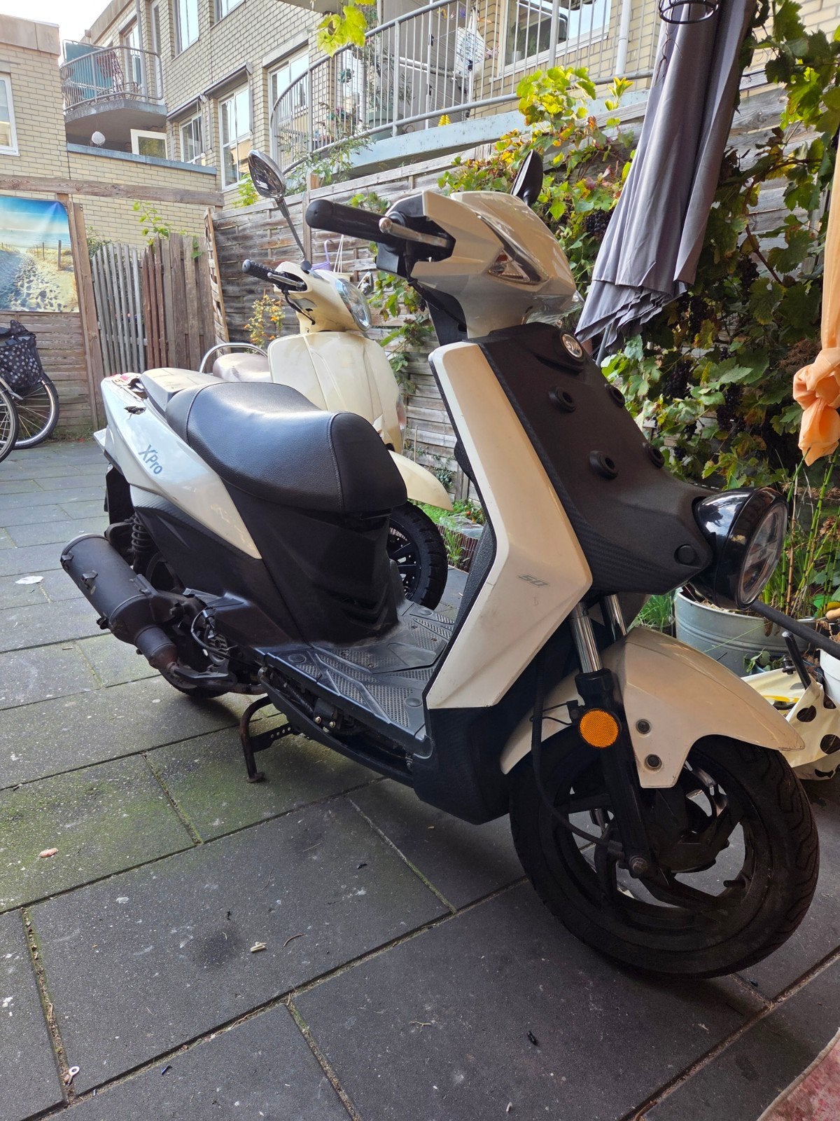 bieden, Ophalen, Gebruikt, Benzine, Overige modellen