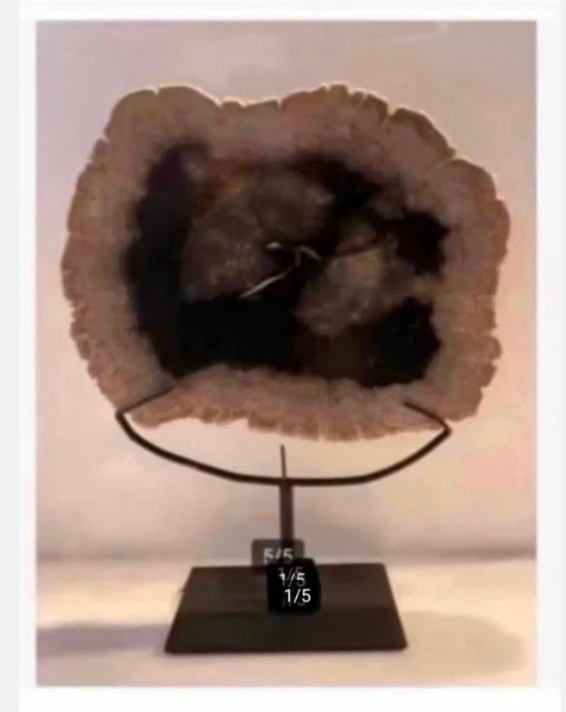 Versteend hout, plak 22 x 17 cm, op metalen standaard, Sieraden, Tassen en Uiterlijk, Edelstenen, Nieuw, Ophalen of Verzenden