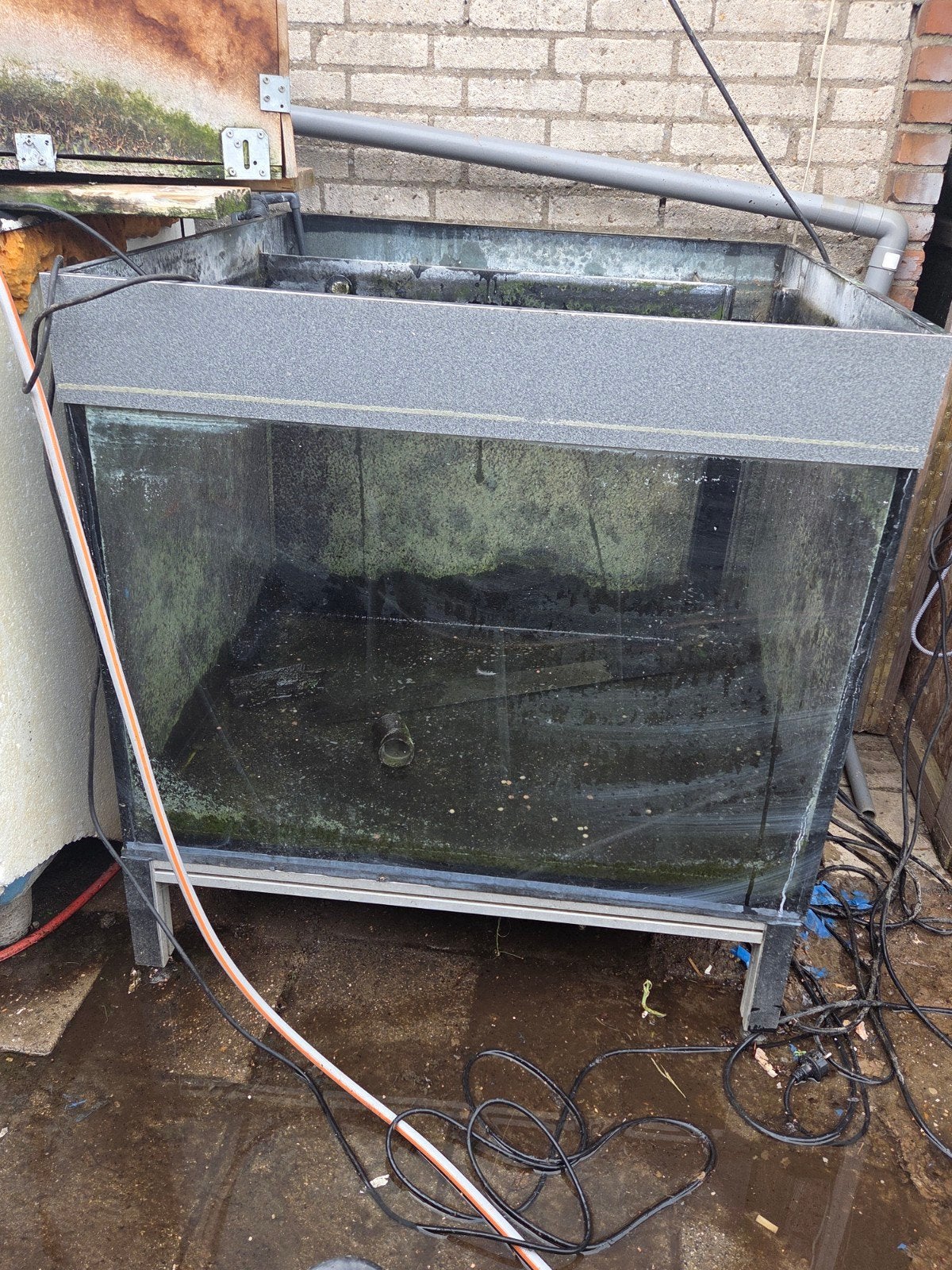 quarantaine bak voor vissen, Ophalen, Leeg aquarium