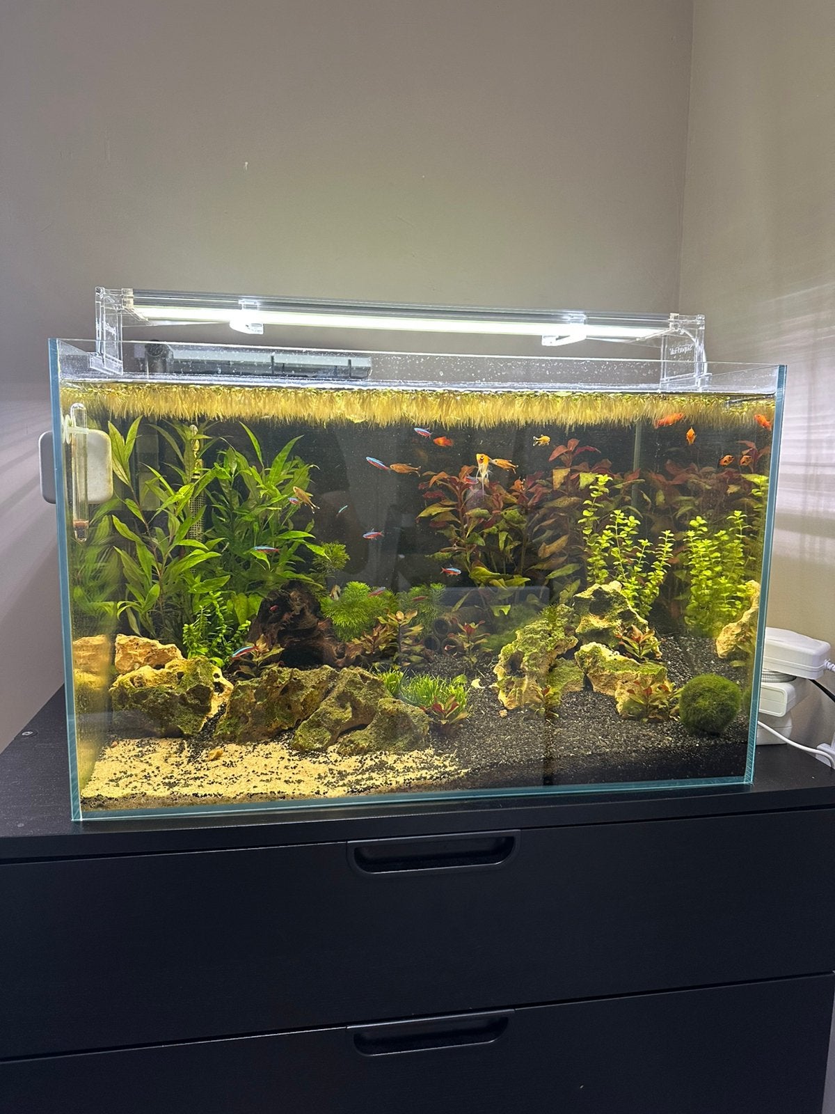 Superfish scaper 90 (compleet), Dieren en Toebehoren, Vissen | Aquaria en Toebehoren, Ophalen, Zo goed als nieuw, Gevuld zoetwateraquarium