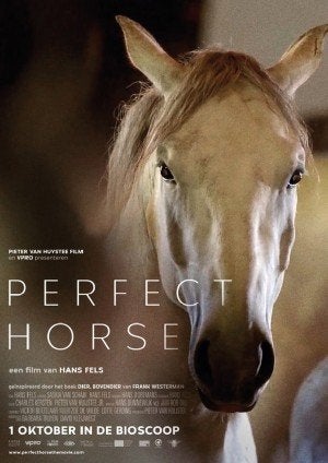 PERFECT   HORSE      filmposter., Rechthoekig Staand, Verzenden, Nieuw, A1 t/m A3