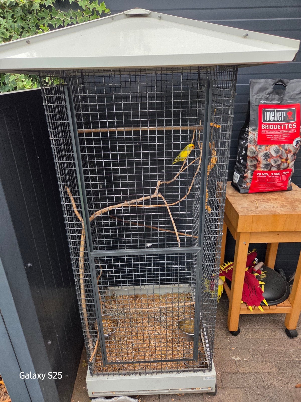 Vogel kooi evt incl vogel, Dieren en Toebehoren, Ophalen, Gebruikt, Metaal, Vogelkooi