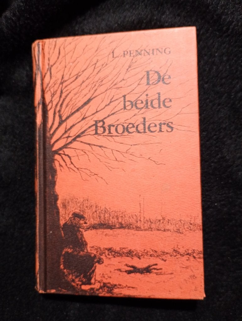 L. Penning, De beide broeders, Ophalen of Verzenden, Gelezen