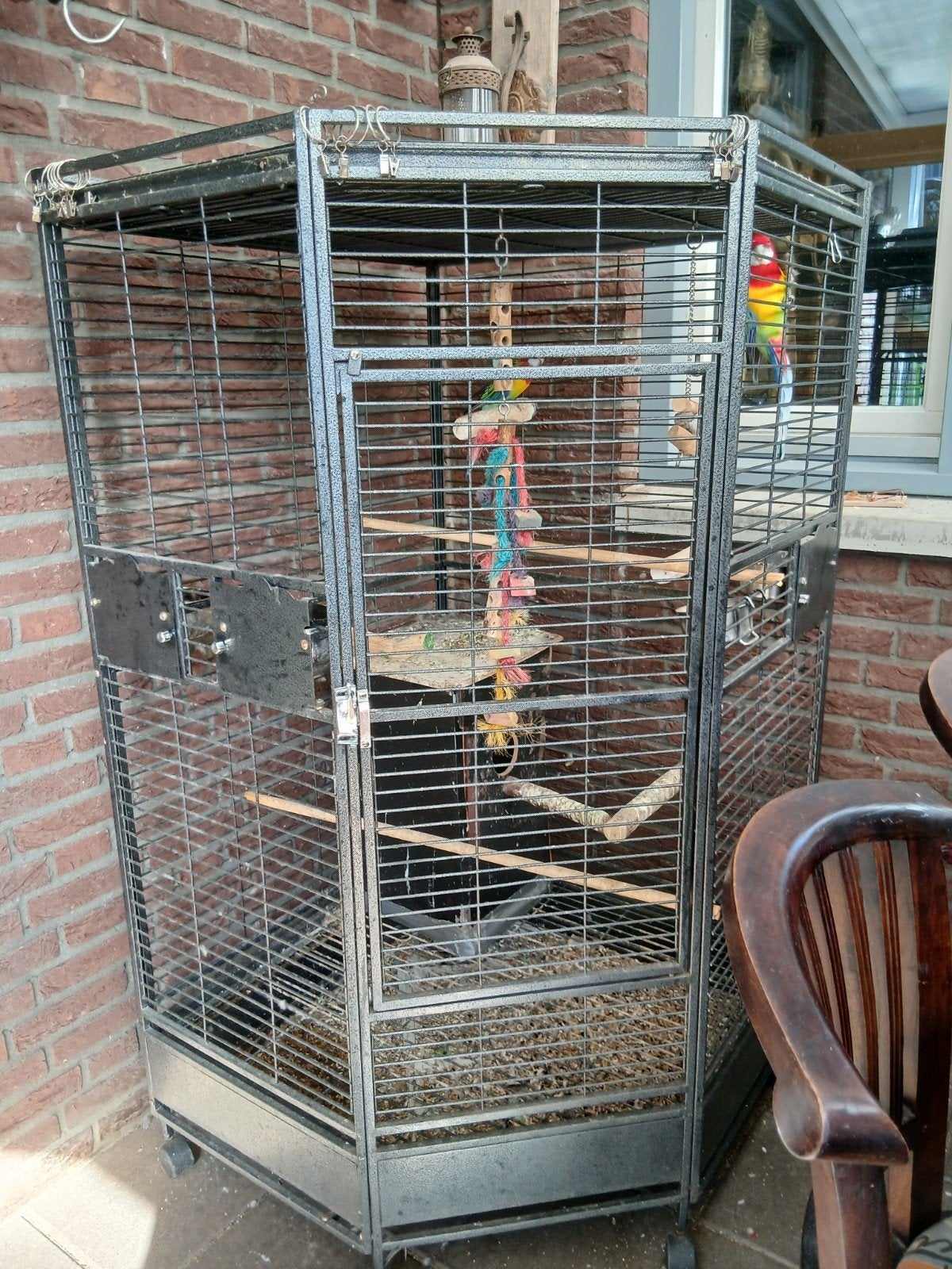 papagaaikooi 153x83x83, Dieren en Toebehoren, Ophalen, Metaal, Vogelkooi