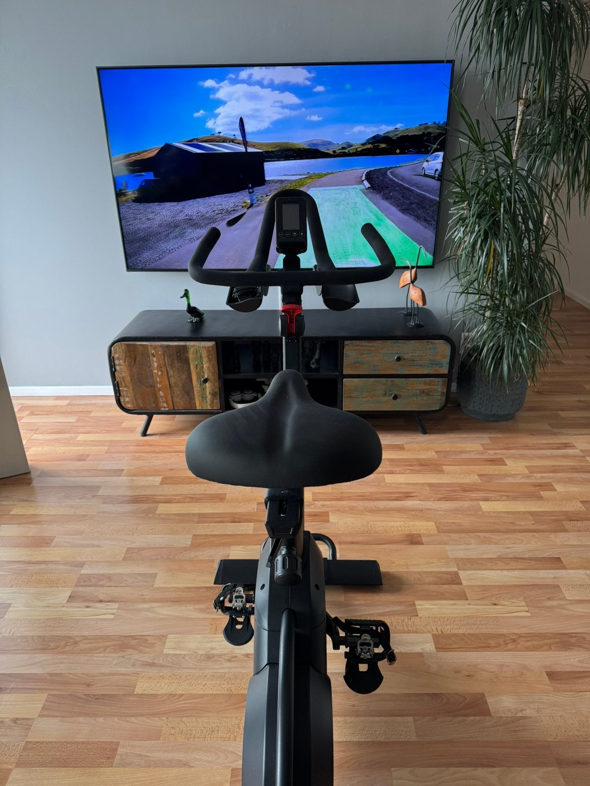 Nieuwe Taurus Z9 indoor bike incl bon aangeschaft april., Ophalen, Nieuw, Hometrainer