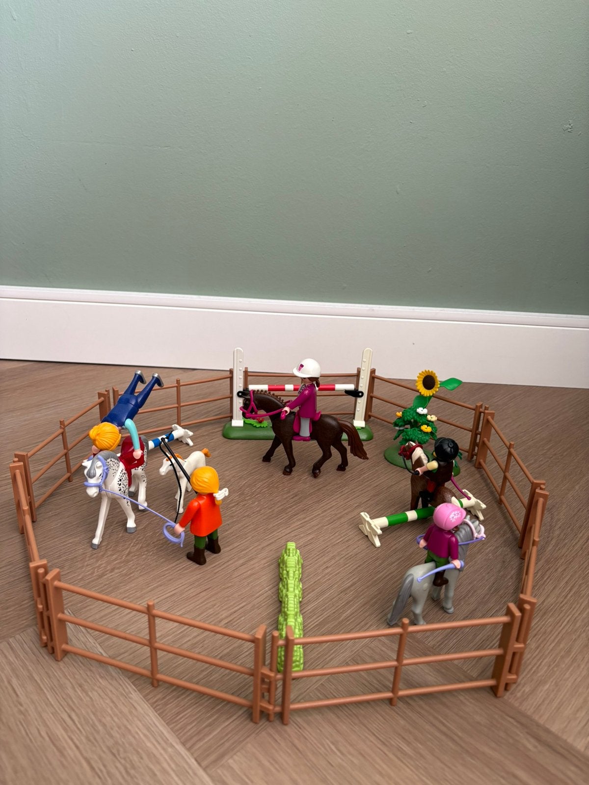 Playmobil trainingsweide, Ophalen, Gebruikt