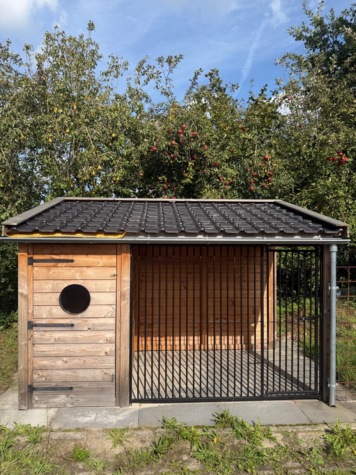 Luxe hondenkennel zwart/douglas gepoedercoated, Dieren en Toebehoren, Hondenkennel, 110 cm of meer, 100 cm of meer, Ophalen of Verzenden