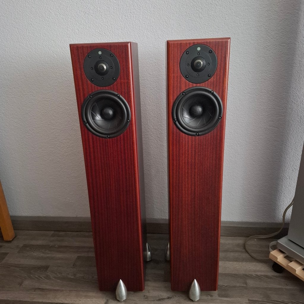 Totem Hawk, Vloerstaande luidspreker, Zo goed als nieuw, 60 tot 120 watt, Ophalen