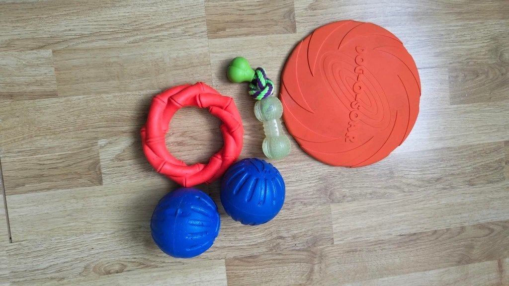 Hondenspeeltjes: Frisbee, botje, bijtring en ballen, Ophalen of Verzenden, Zo goed als nieuw, Apporteerspeelgoed