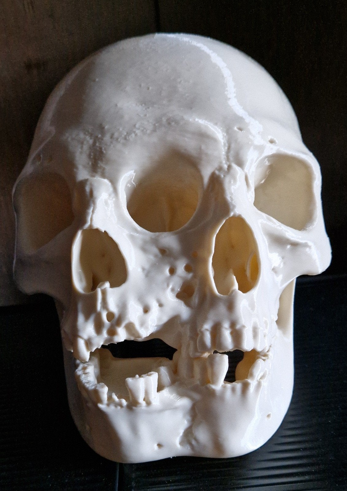 Schedel 3d geprint., Verzenden, Nieuw