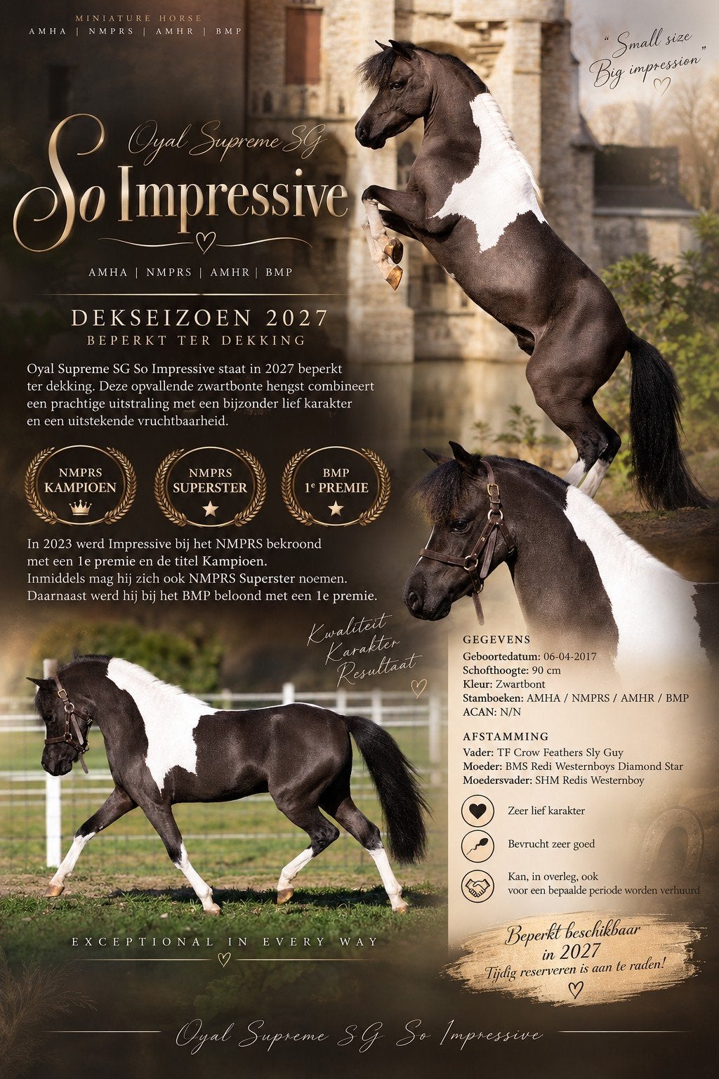 Dekking Royal Supreme SG So Impressive, Verzenden