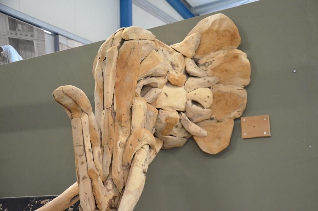 Handgesneden grote Olifantenkop van Teakhout, Houtsnijwerk, Verzenden, 50 - 100 cm, Hout