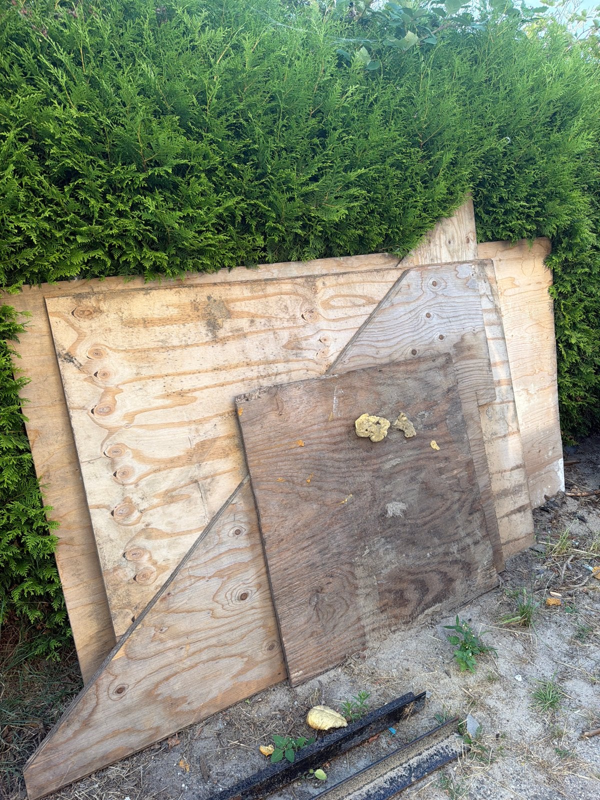 Gratis resthout - Diverse platen en planken, Ophalen, Gebruikt, Minder dan 25 mm, Overige typen