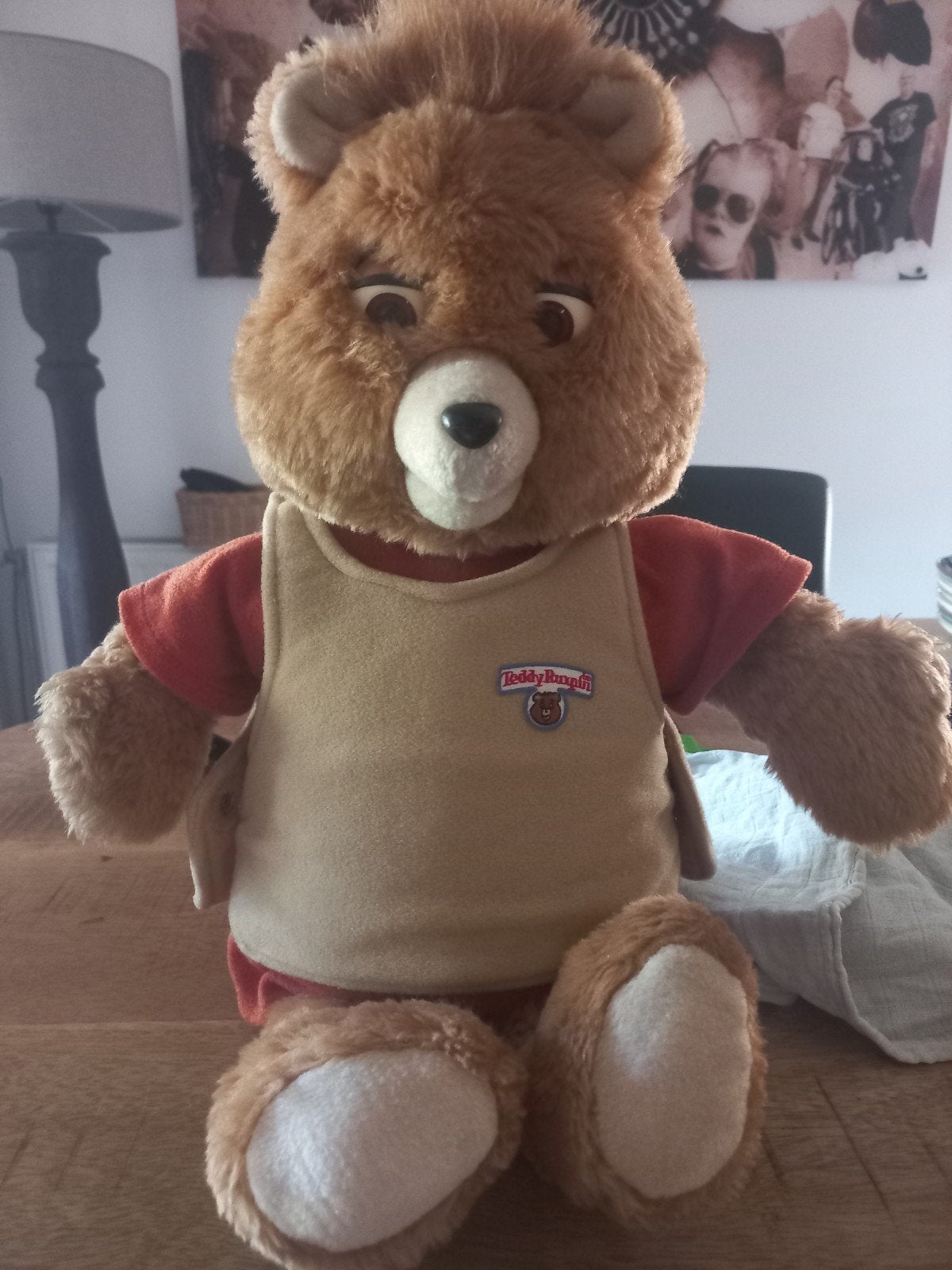 Teddy Ruxpin 1985 World of Wonder Pop, Gebruikt, Overige merken, Met geluid, Beer
