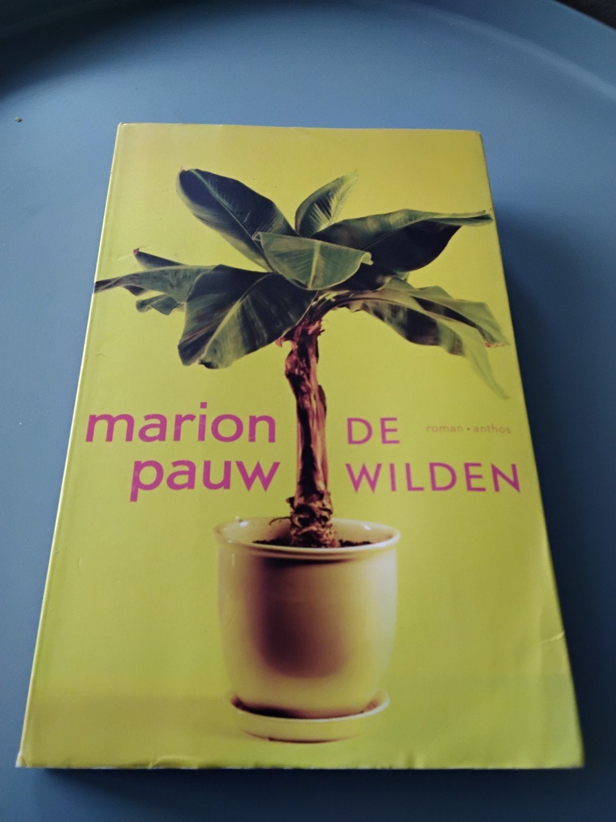 Marion Pauw - De wilden, Ophalen of Verzenden, Zo goed als nieuw, Marion Pauw