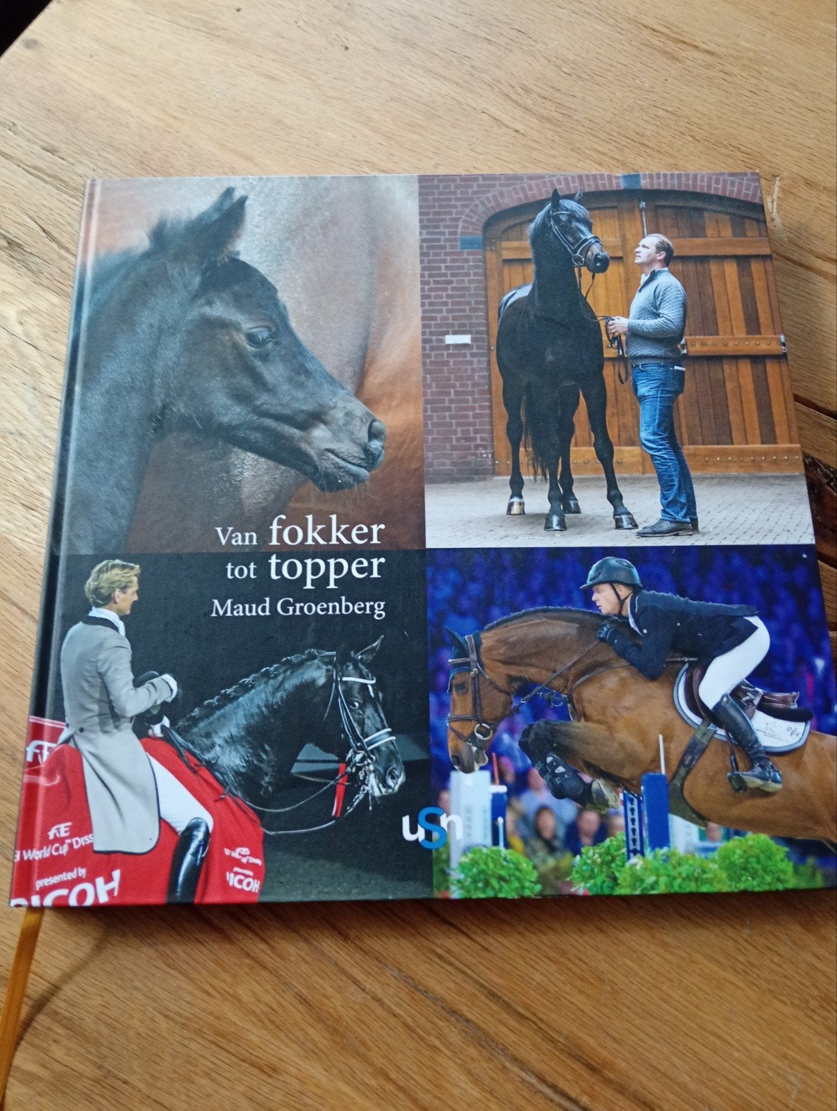 Van fokker tot topper - Maud Groenberg (Paardenboek), Ophalen of Verzenden, Zo goed als nieuw, Maud Groenberg, Paarden of Pony's