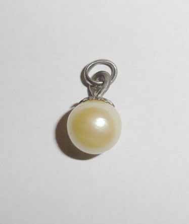 Hanger parel zilver, Overige voorstellingen, Verzenden, Zo goed als nieuw, Met parel