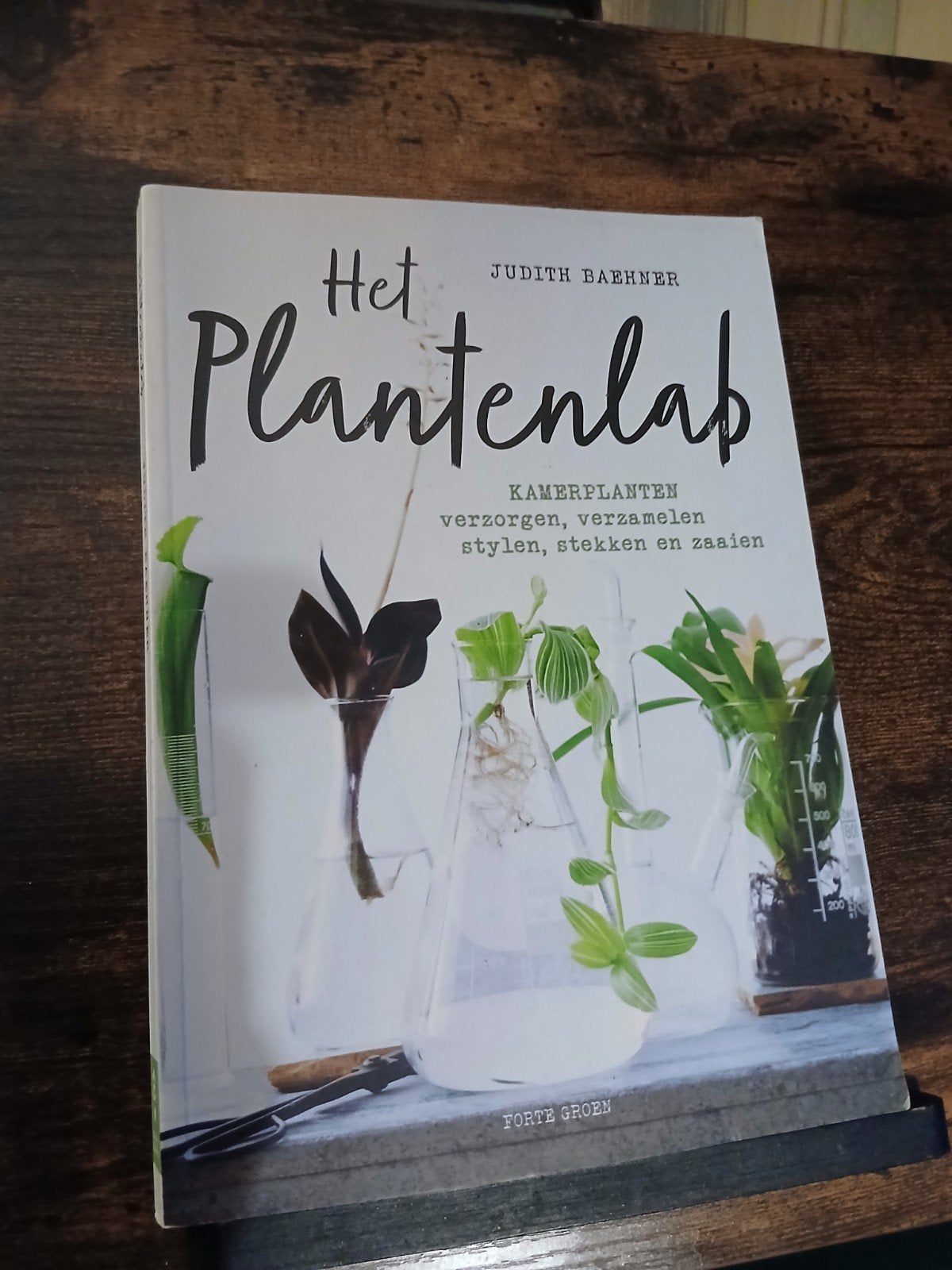Het Plantenlab: Kamerplanten verzorgen, stylen, stekken, Boeken, Ophalen of Verzenden, Zo goed als nieuw, Judith Baehner, Kamerplanten