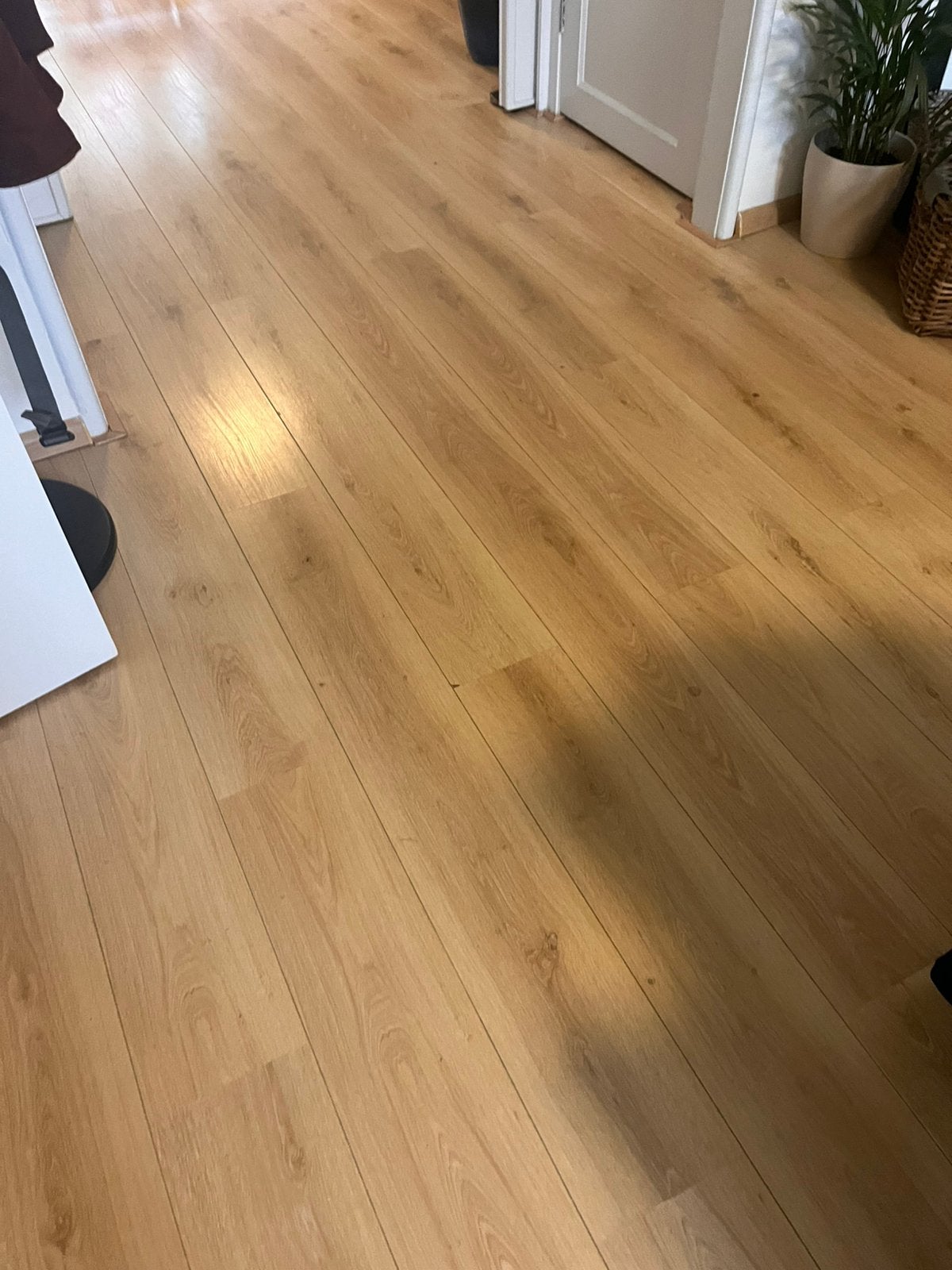 Mooie eiken-look laminaatvloer – te koop, Ophalen, 50 tot 150 cm, Zo goed als nieuw, 10 m² of meer