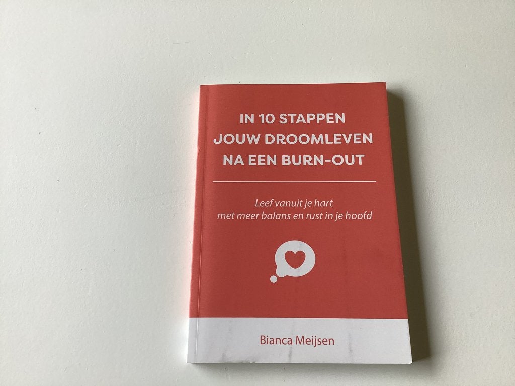 In 10 stappen jouw droomleven na een burn-out B. Meijsen, Ophalen of Verzenden, Zo goed als nieuw