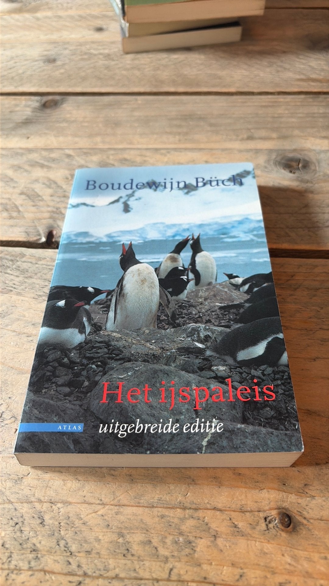 B. Buch - Het ijspaleis, Boeken, Ophalen of Verzenden, Zo goed als nieuw, B. Buch, Europa