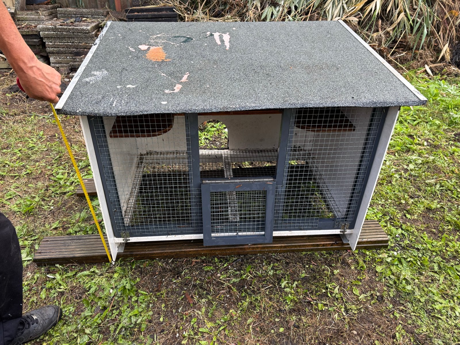 Vogelhok, Dieren en Toebehoren, Ophalen